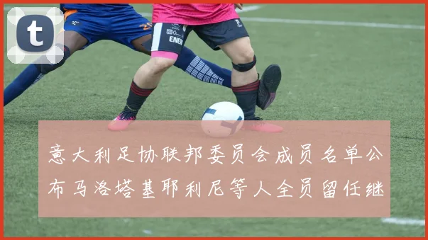 意大利足协联邦委员会成员名单公布马洛塔基耶利尼等人全员留任继续服务